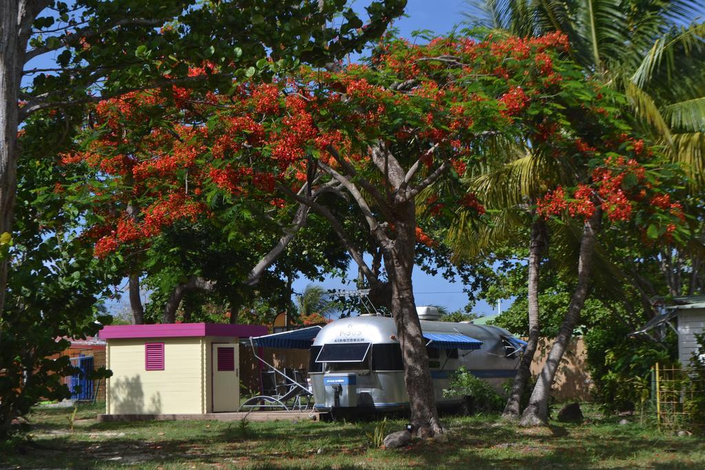 Airstream Paradise Bernard Buitenkant foto